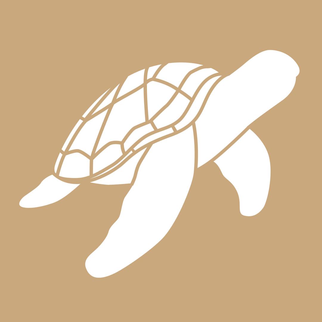 POCHOIRS 8"X8" KRAFT TORTUE