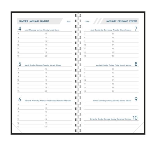 AGENDA VISUPLAN ALASKA 90X165 1SEMAINE/2PAGES SPIRALE ASSORTI