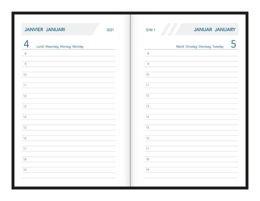 AGENDA CLASSIC 500 ALASKA 80X120 1JOUR/PAGE