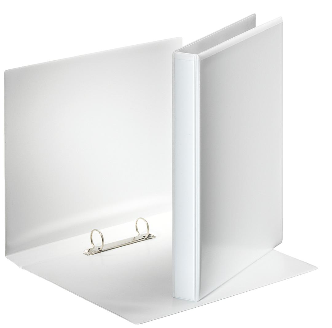 CLASSEUR 2AN 25MM PP A4 PERSO BLANC 2 ANNEAUX ESSELTE DOS 38 PERSONNALISABLE 2R-D 25 MM