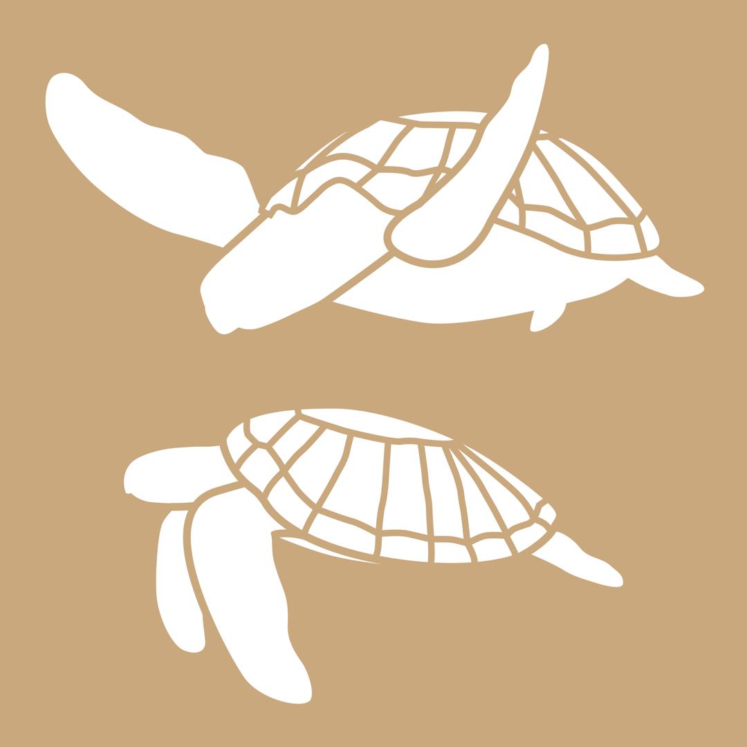 POCHOIRS 8"X8" KRAFT TORTUE – Image 2